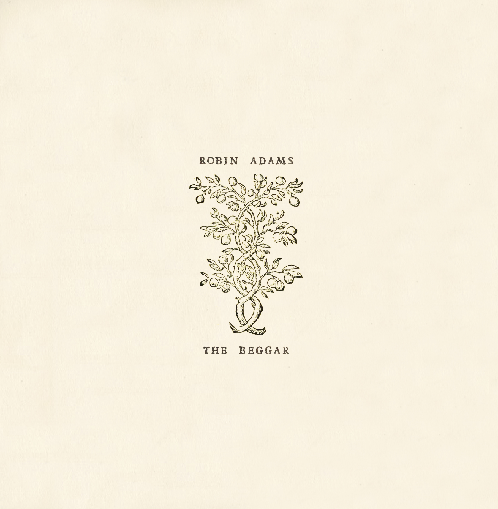 The Beggar - Album Cover